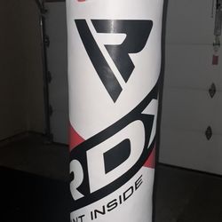 Punching Bag & Speed Bag With Gloves 