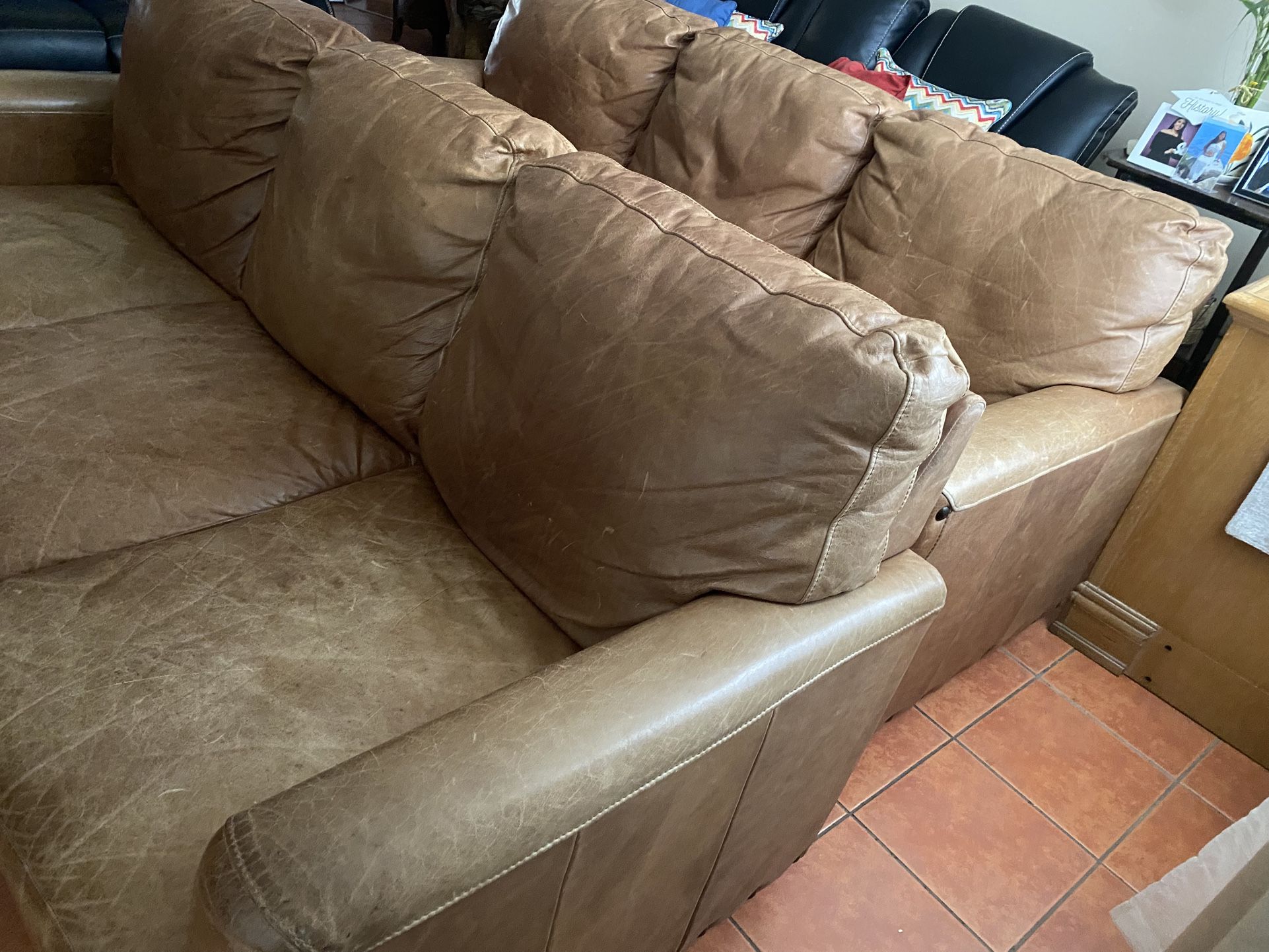 Two Leather Couches