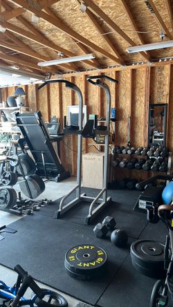 Dip and Pull Up Bar