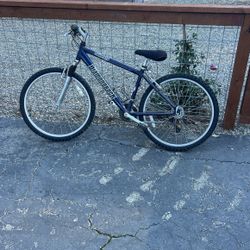 Kids Diamondback Mountain Bike
