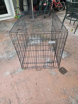 Big DOG Cage