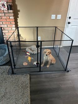 Acrylic animal playpen