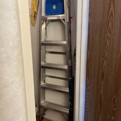Werner 6 Foot Ladder