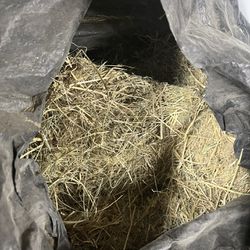 Standlee orchard Hay 50 Lb 