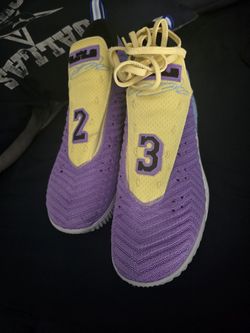 Nike LeBron James 16' Championship
