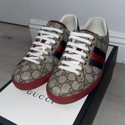  CUCCU GG Supreme New Ace Sneakers SIZE 8 1/2