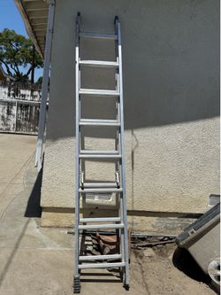 Ladder $15 obo