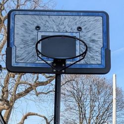 Lifetime Basketball Hoop 