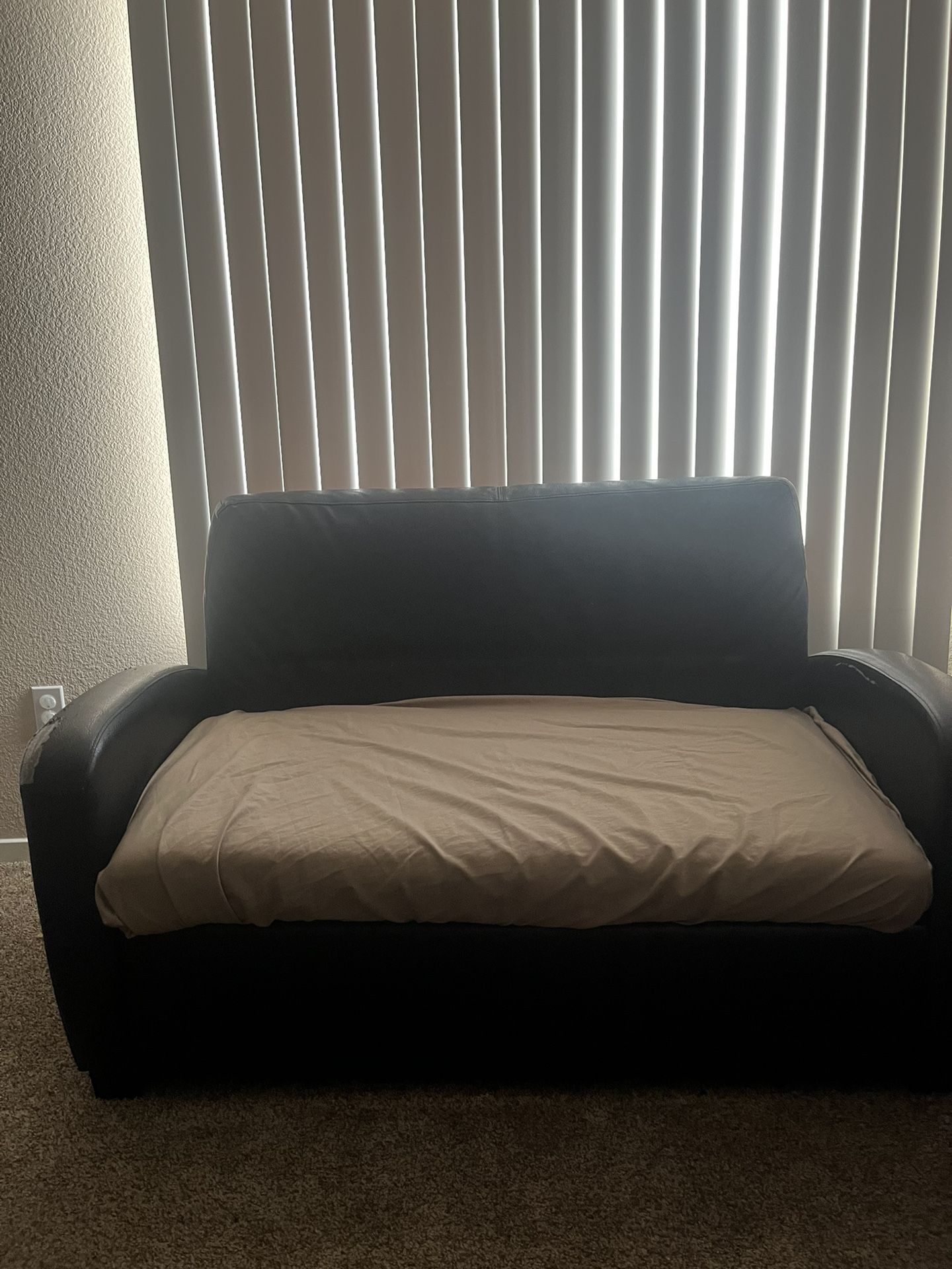 Free Twin Size Sleeper Sofa