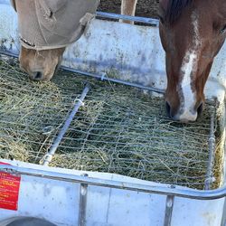 Slow Feed Hay Feeder 