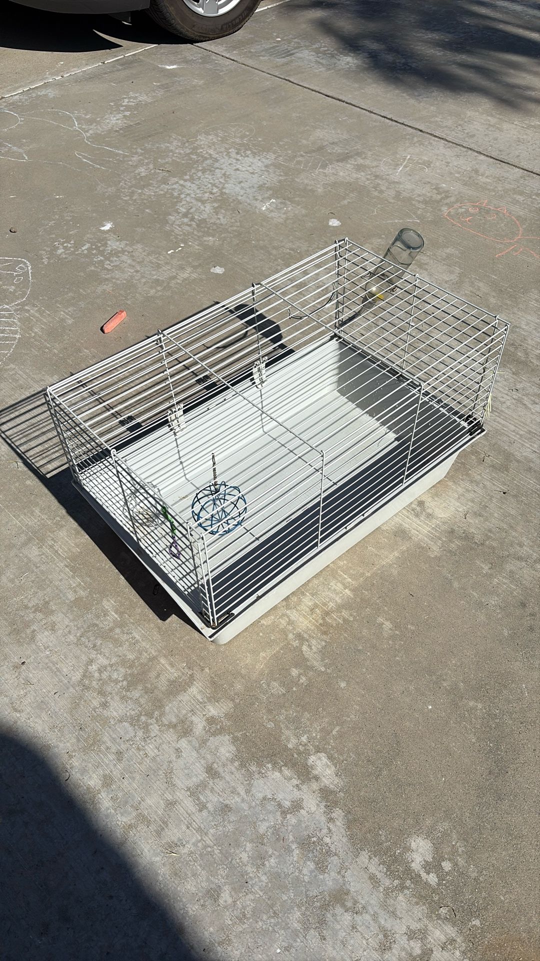 Guinea Pig Cage 