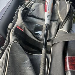 Dimarini voodoo little league bat -10