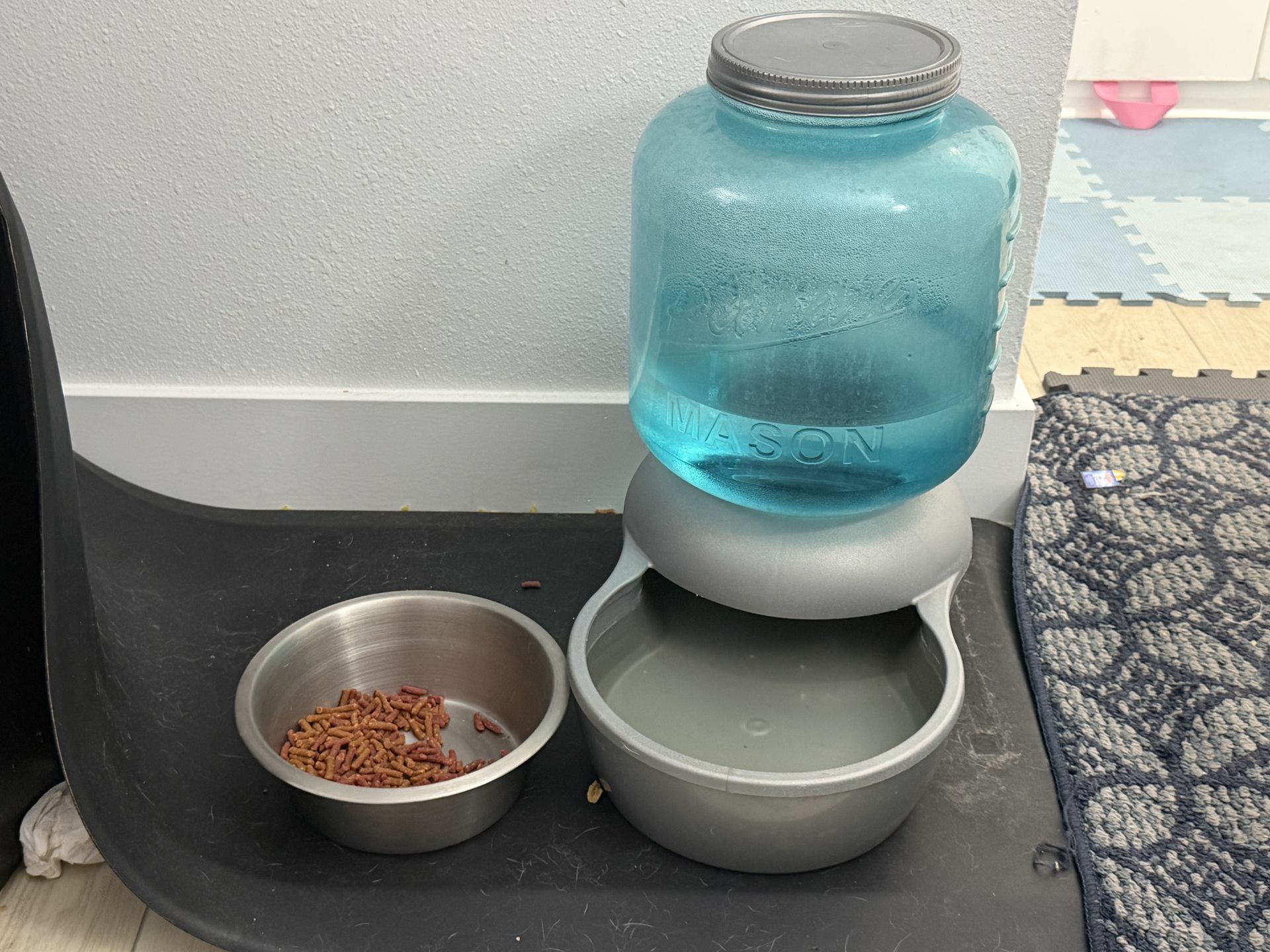 Leashes, water and food bowl OBO