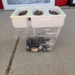 Aquaponic Set Up