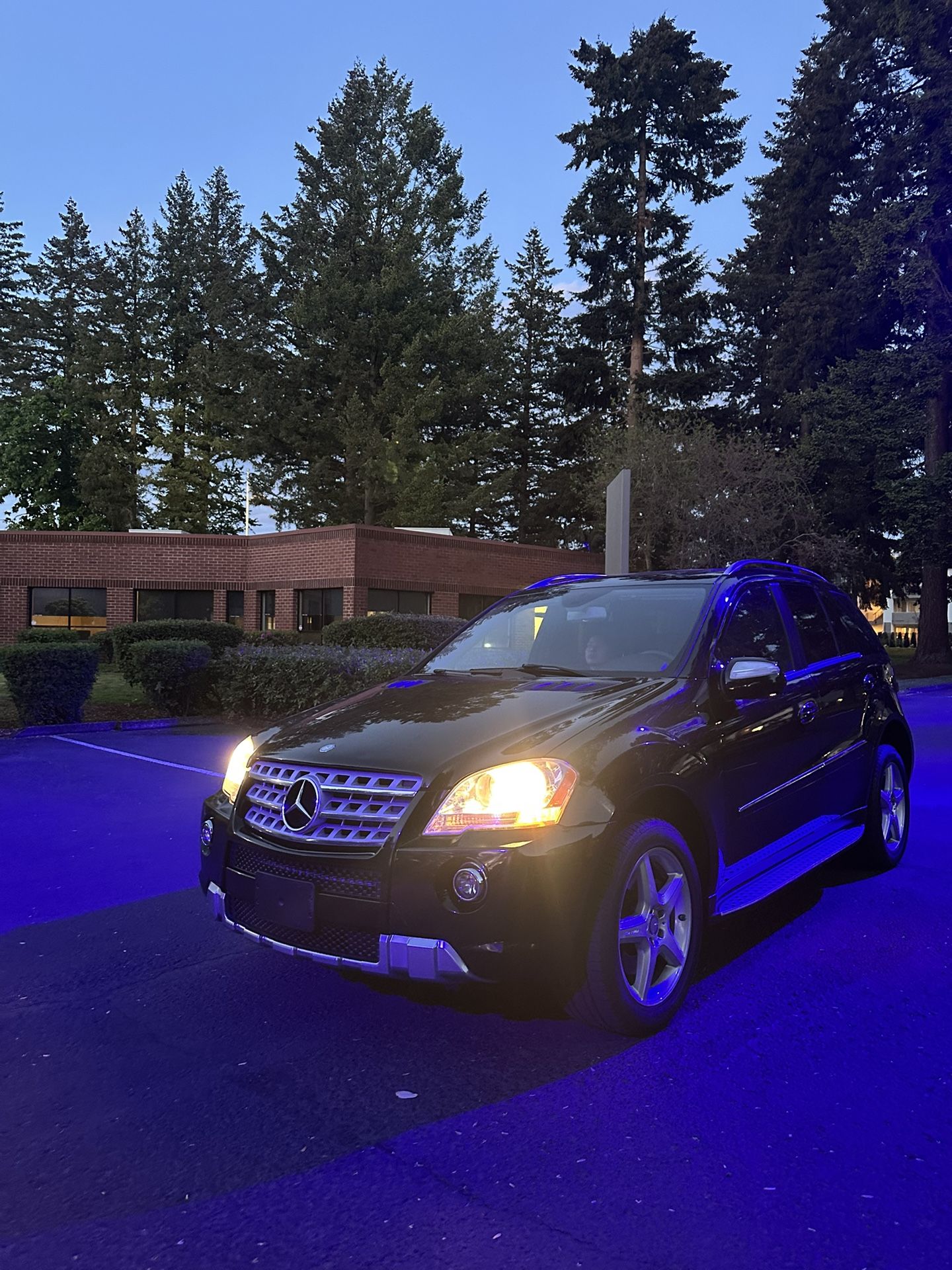 2010 Mercedes-Benz M-Class