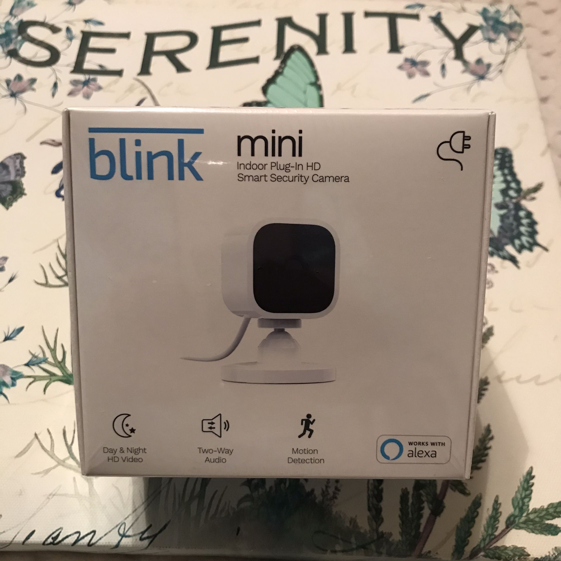 Blink mini indoor plug-in