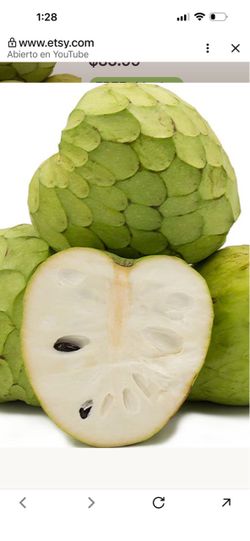 Chirimoya