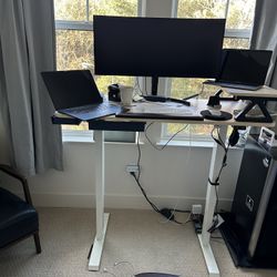 Electric Standing Desk (Maple, 48x24) - $150 OBO 