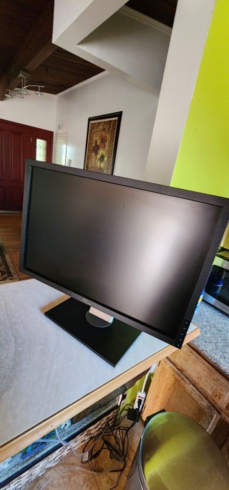 Computer Monitor Dell 19 Inch 