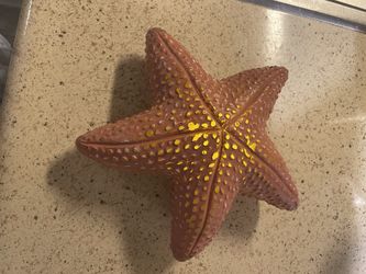 Seashell Light Decor 