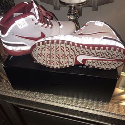 LeBron Sneakers