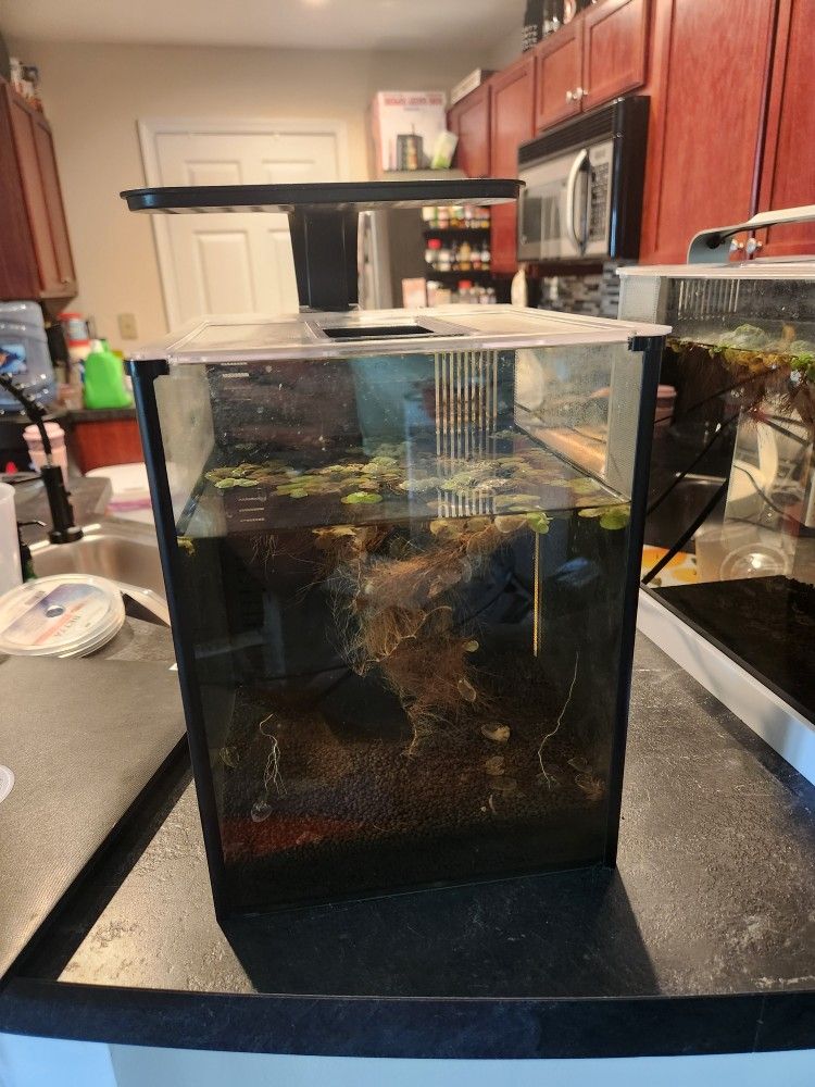 2.5-3 Gallon Fish Tank