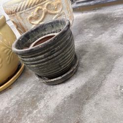 Free pots for plants and garden