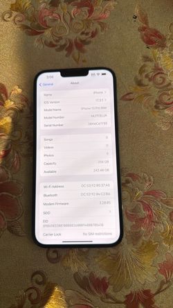 iPhone 13 Pro Max