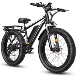 1000w E-Bike
