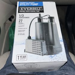 Utility Pump 1/3 Horsepower 27 Gallons Per Minute