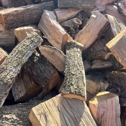 Firewood 
