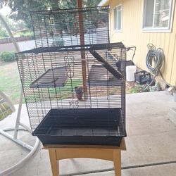 Bird Cage