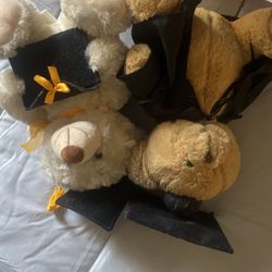 graduation bears
