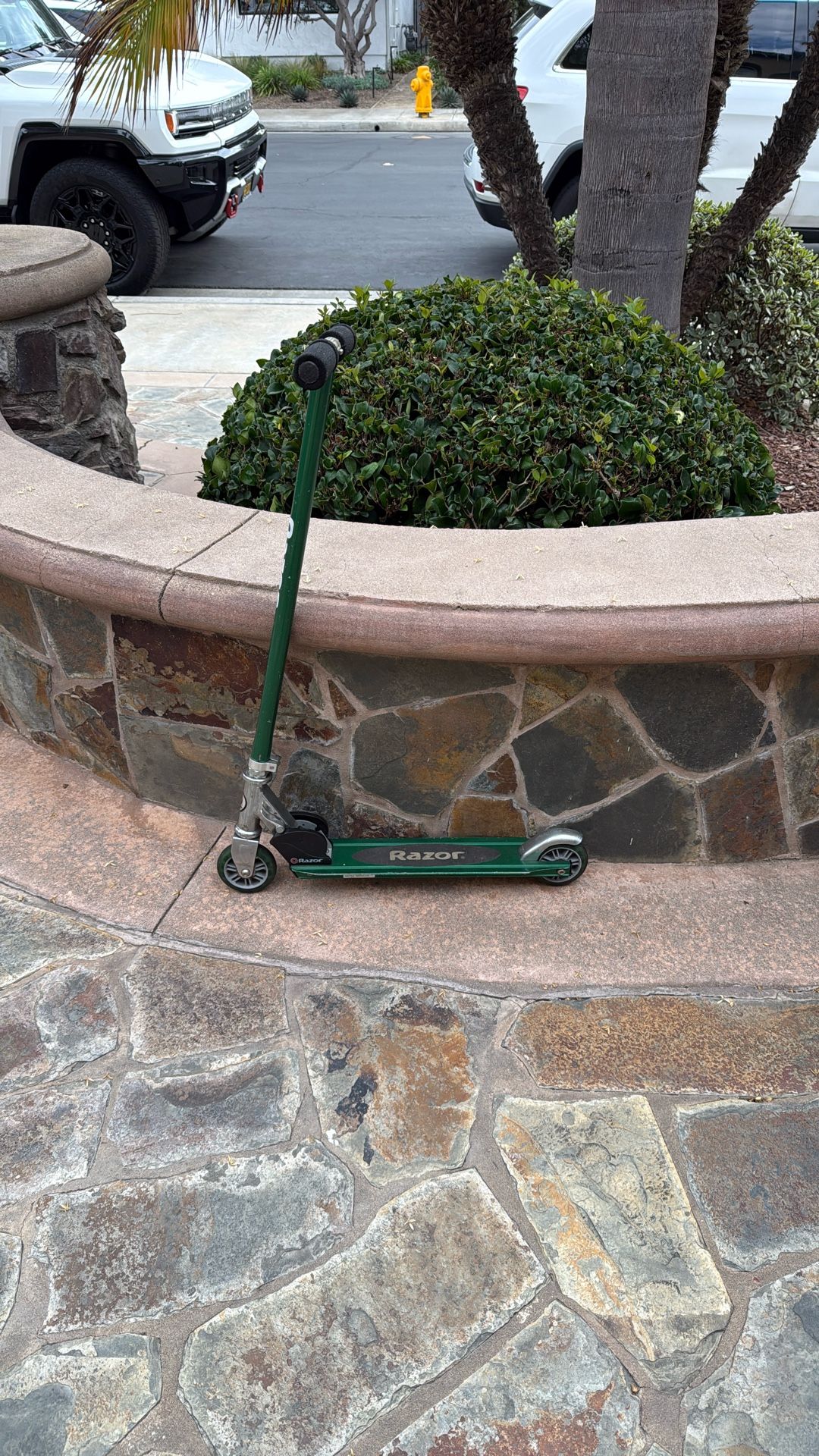 Razor Scooter
