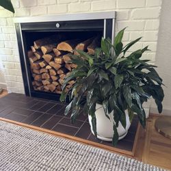 Peace lily plant In Modern mid Century Matte White Pot 