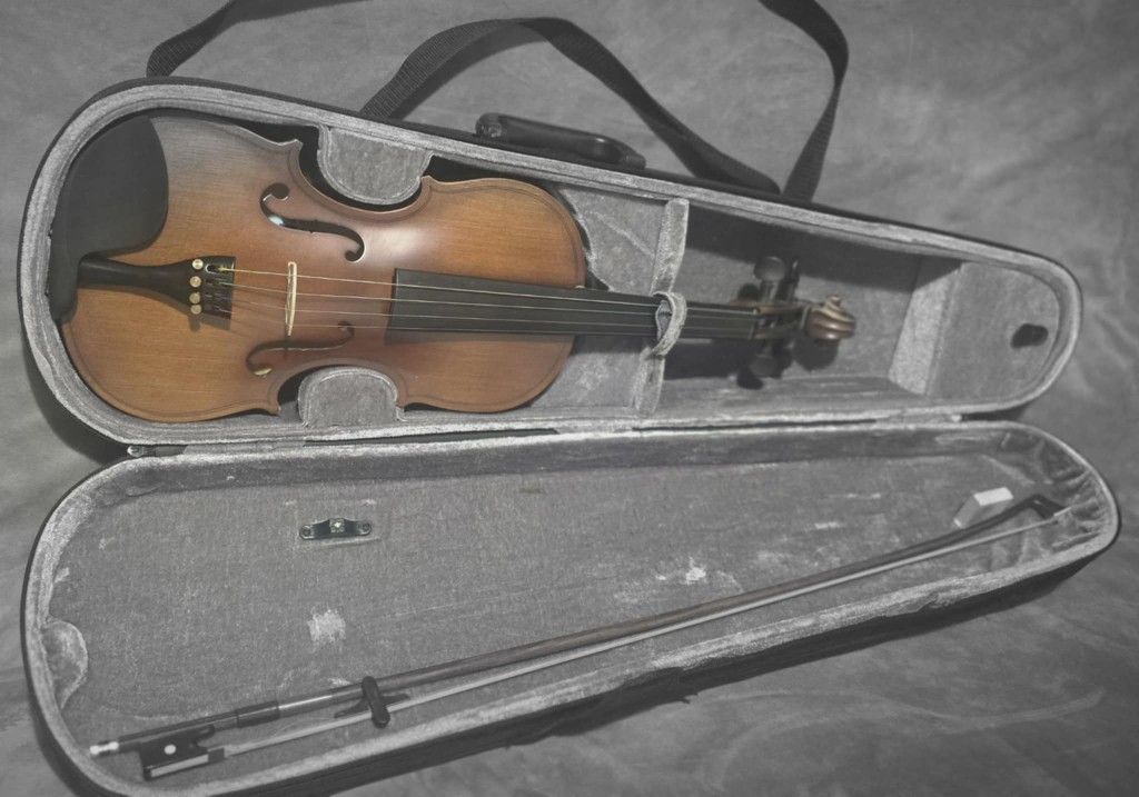 VIOLIN 4/4 $69. FEVER