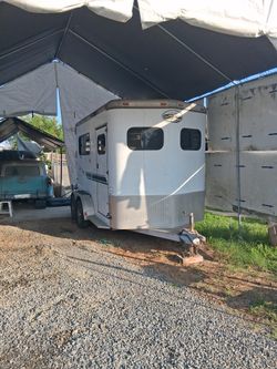 Traila Para 2 Caballos