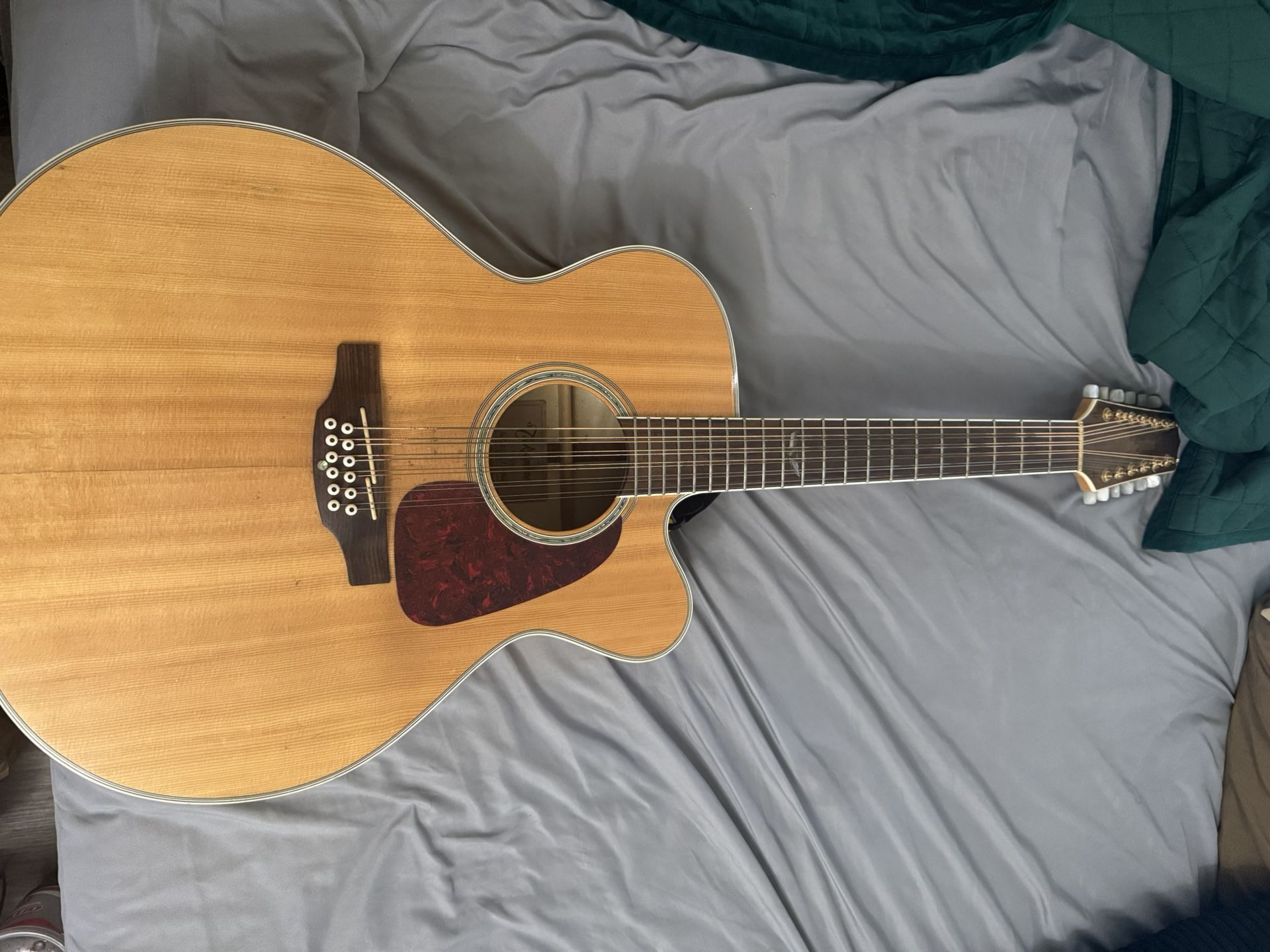Takamine G Series 