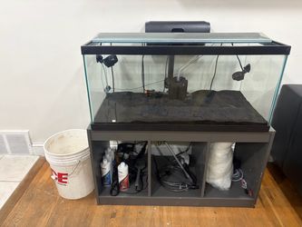 40 Gallon Breeder Tank