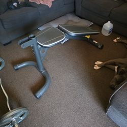 Golds Gym Weight Bench And Olympic Bar 