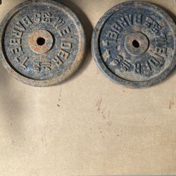 50 lbs Weights 
