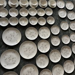 Full 75 Piece  Thistledown Fine China Set By Schonwald 