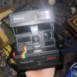 Polaroid 