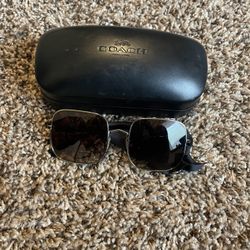 Coach Sunglasses 