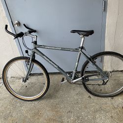 1990 Specialized Rock Hopper Mountain Bike