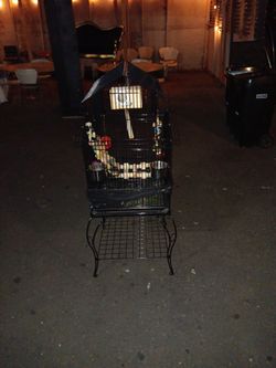 Bird Cage With Props