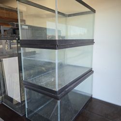 40 Gallon Terrarium/Aquarium/Tank