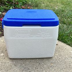 Small Blue And White Cooler 🧊