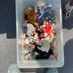 Beanie babies