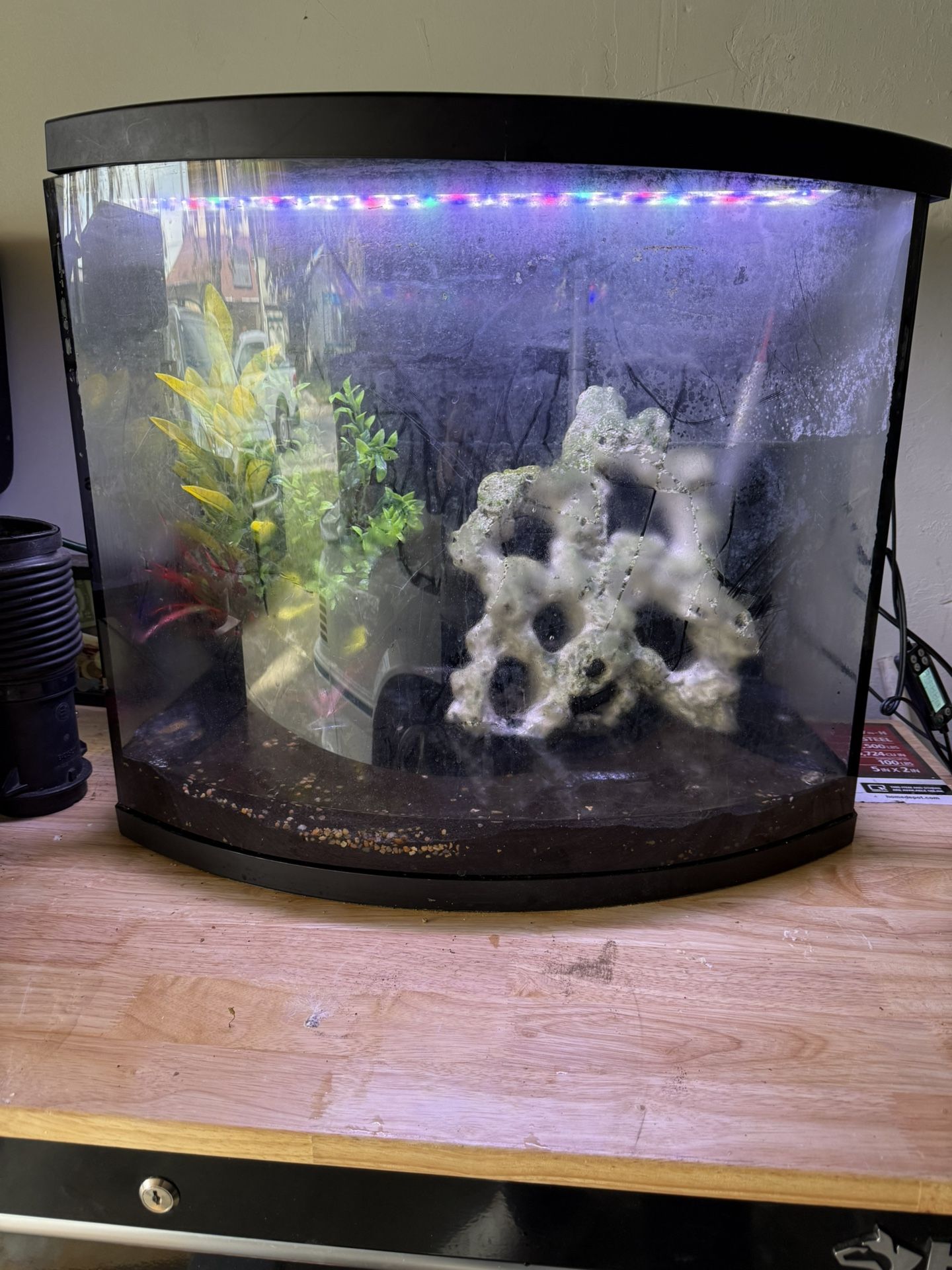 Fish Tank Aquarium